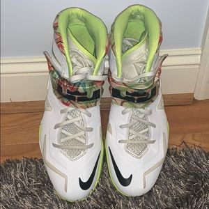 Lebron sneakers